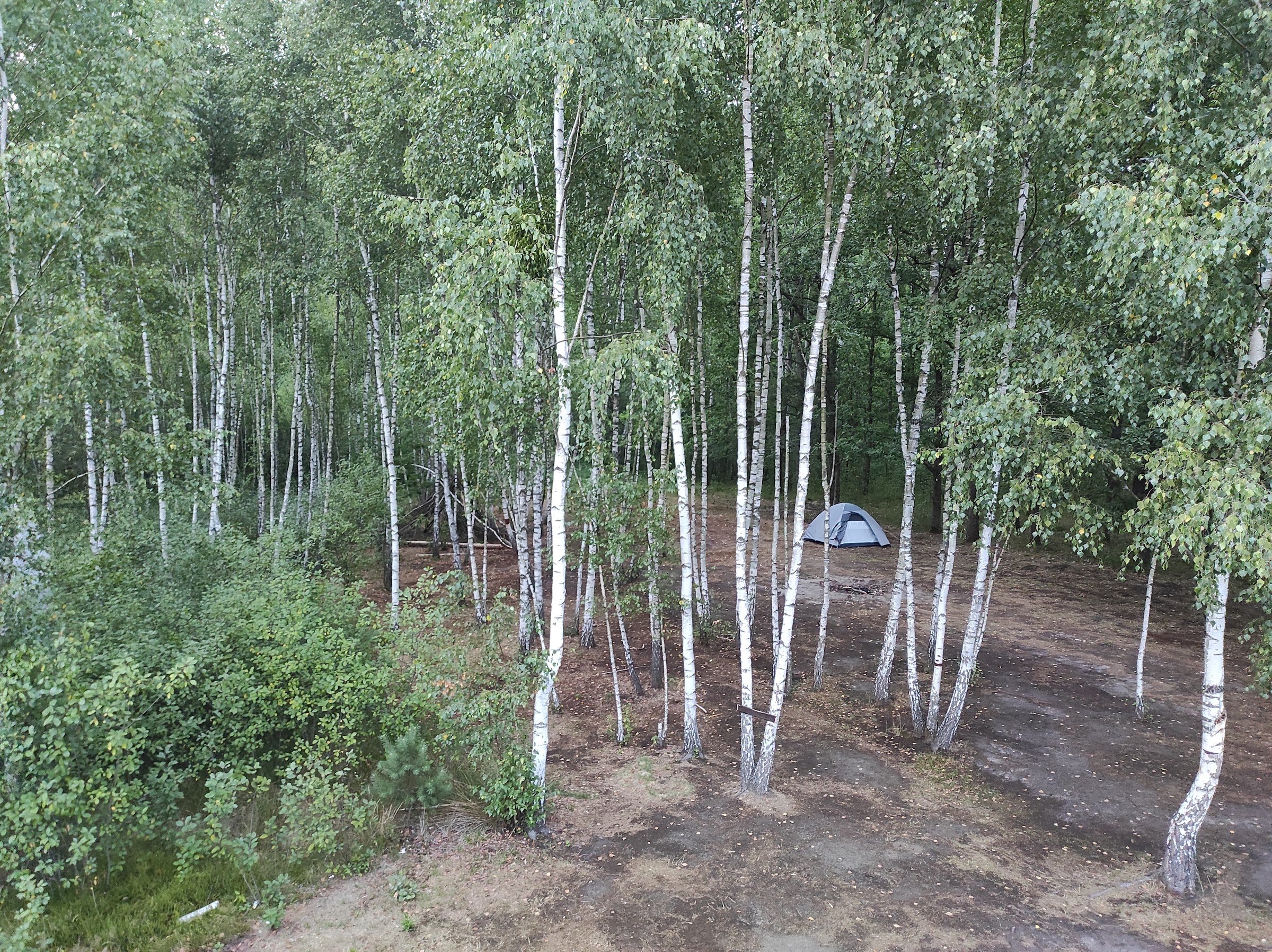 Pole Namiotowe DPT Granica